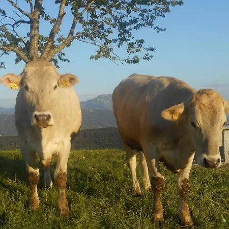 Séjour à la campagne Urlaubshof Bechteler
